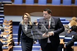 Парламент - заседание