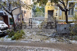 Паднали клони и дървета