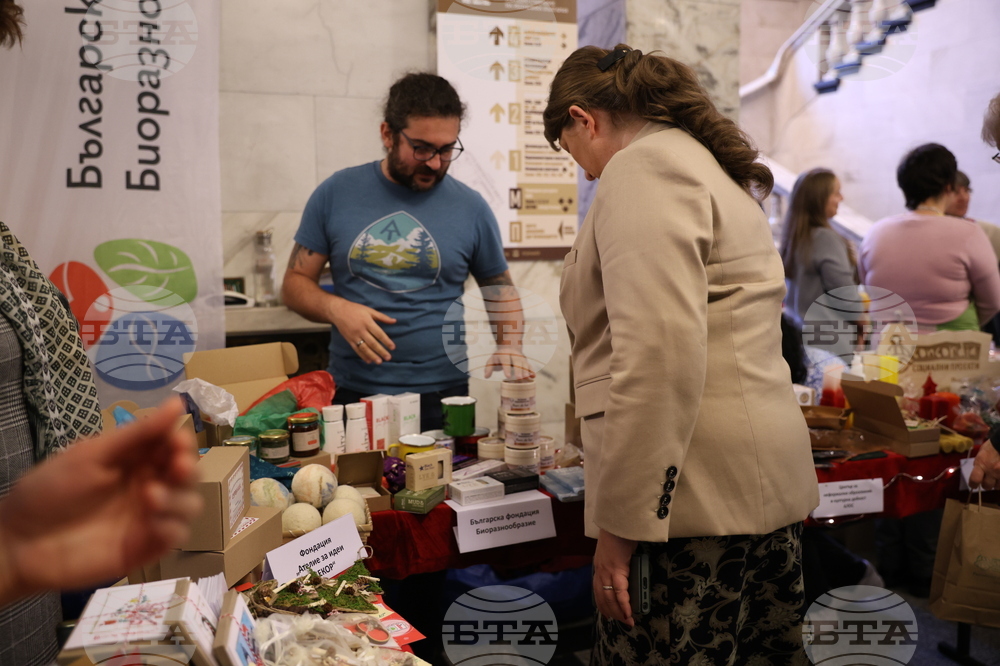 Народно събрание - базар - “Малкото е много”