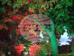 Арт инсталация