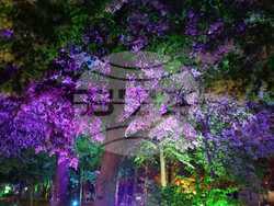 Арт инсталация