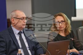 Министерски съвет - Съвет за икономически анализи