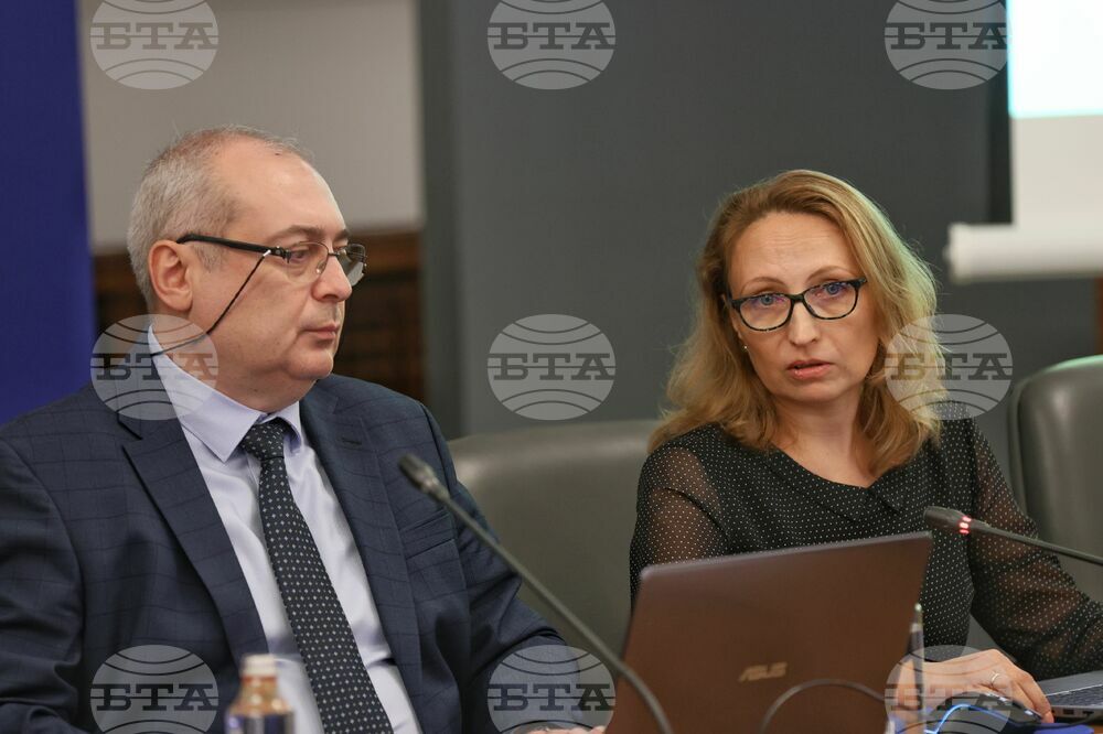 Министерски съвет - Съвет за икономически анализи