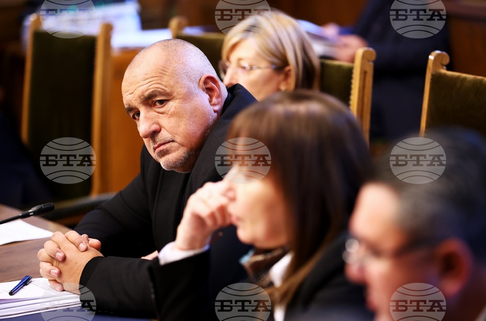 Парламент - Комисия по външна политика - заседание