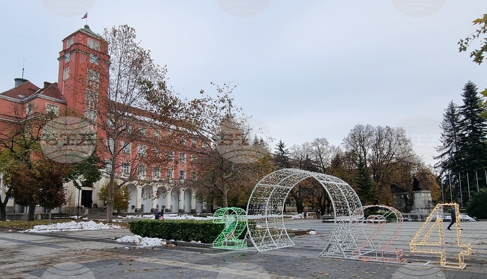 Коледната елха на Плевен грейва на 1 декември
