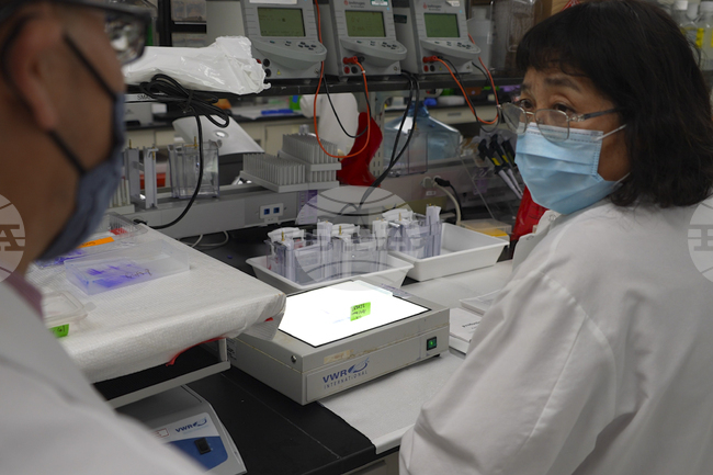 Учени разработиха антибиотик с функция за "избор" на зона на действие в организма