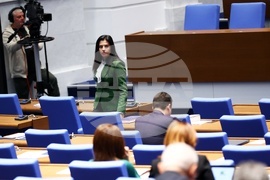 Парламент - заседание