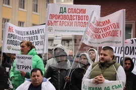 Протест  - животновъди - оранжерийни производители 