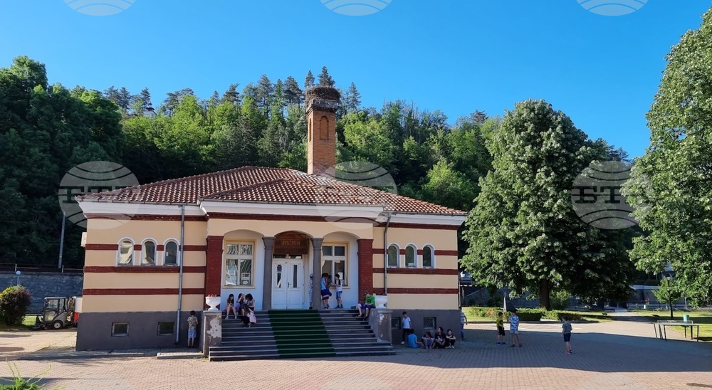 Женската птица от двойката щъркели, които от години гнездят в центъра на Трявна, е загинала
