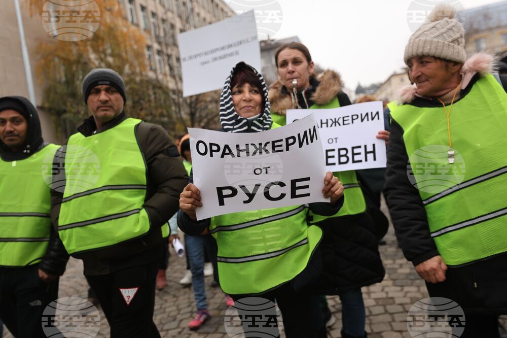 Протест - животновъди - оранжерийни производители