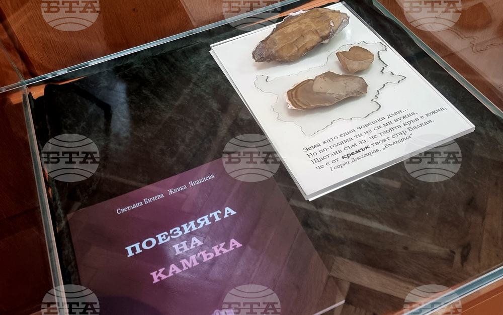 Брезник - "Общество, култура, образование" - научна конференция