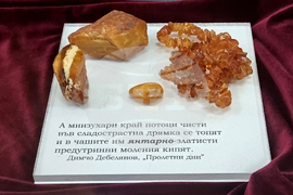 Брезник - "Общество, култура, образование" - научна конференция 