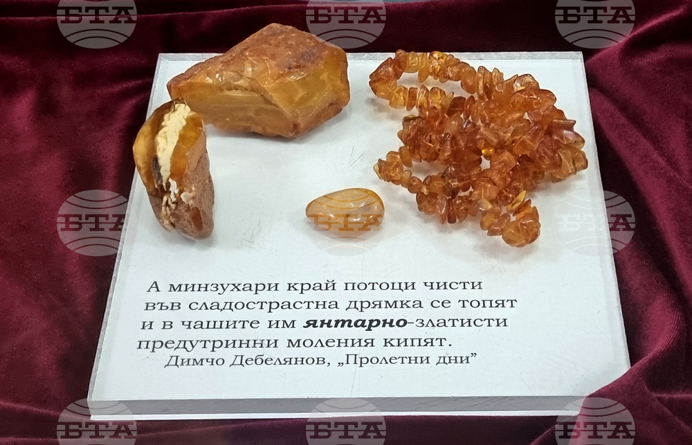 Брезник - "Общество, култура, образование" - научна конференция