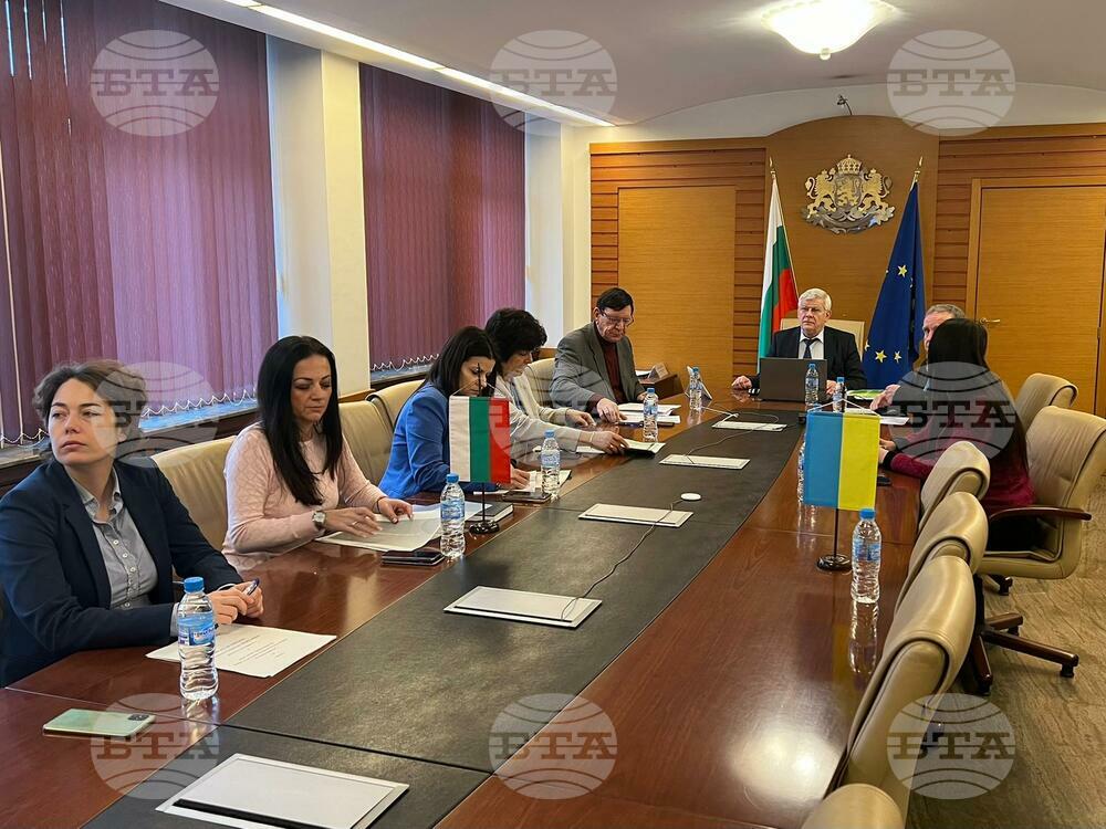Bulgarian, Ukrainian Agriculture Ministers Agree on Licensing System for Ukrainian Export of Sunflower Seeds, Rapeseed, Corn, Wheat