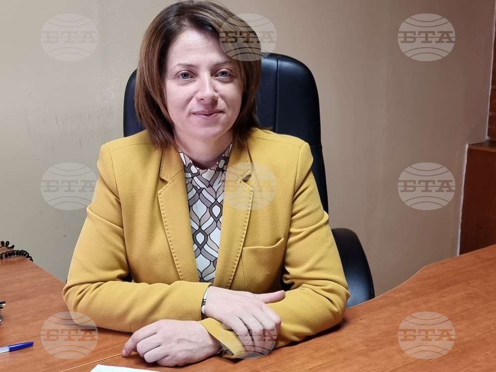 Навръх Никулден в Кърджали ще грейнат светлинките на коледната елха