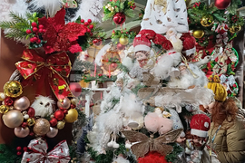 Румъния - коледен базар - откриване