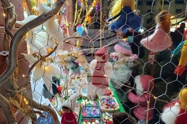 Румъния - коледен базар - откриване