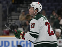 Wild Predators Hockey