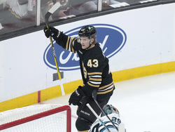 Sharks Bruins Hockey