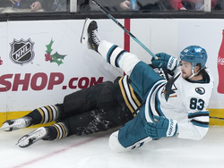 Sharks Bruins Hockey