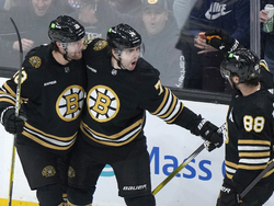Sharks Bruins Hockey