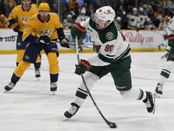 Wild Predators Hockey