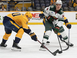 Wild Predators Hockey