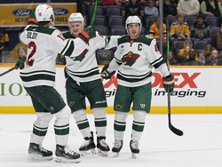 Wild Predators Hockey
