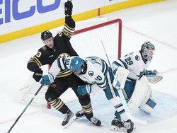 Sharks Bruins Hockey