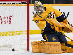 Wild Predators Hockey