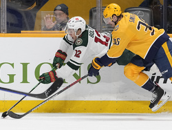 Wild Predators Hockey