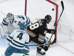 Sharks Bruins Hockey