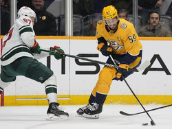 Wild Predators Hockey