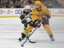 Wild Predators Hockey