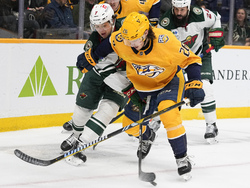 Wild Predators Hockey