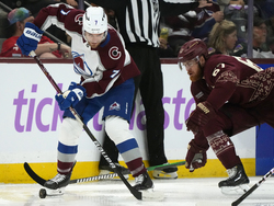 Avalanche Coyotes Hockey