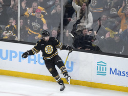 Sharks Bruins Hockey
