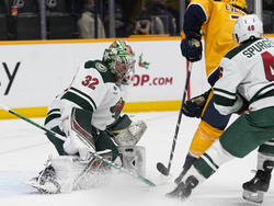 Wild Predators Hockey