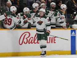 Wild Predators Hockey