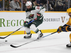 Wild Predators Hockey