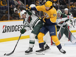 Wild Predators Hockey