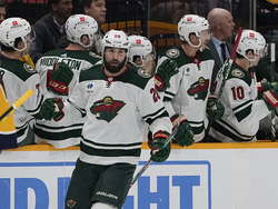 Wild Predators Hockey