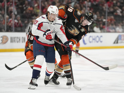 Capitals Ducks Hockey