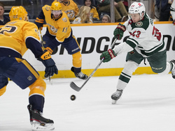 Wild Predators Hockey
