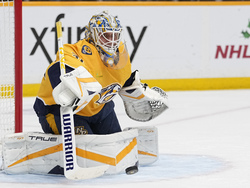 Wild Predators Hockey