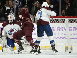 Avalanche Coyotes Hockey