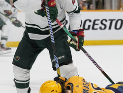 Wild Predators Hockey