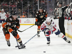 Capitals Ducks Hockey