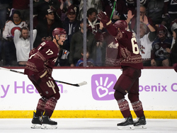 Avalanche Coyotes Hockey