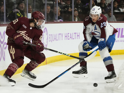Avalanche Coyotes Hockey